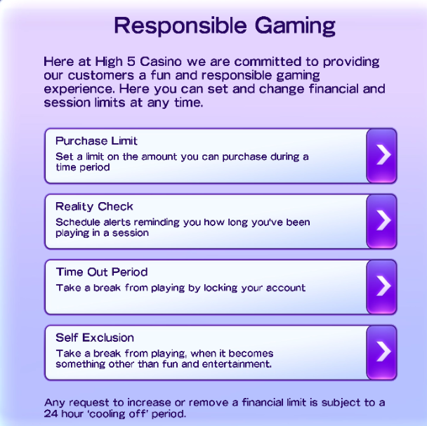 Responsible gaming at High 5 Casino